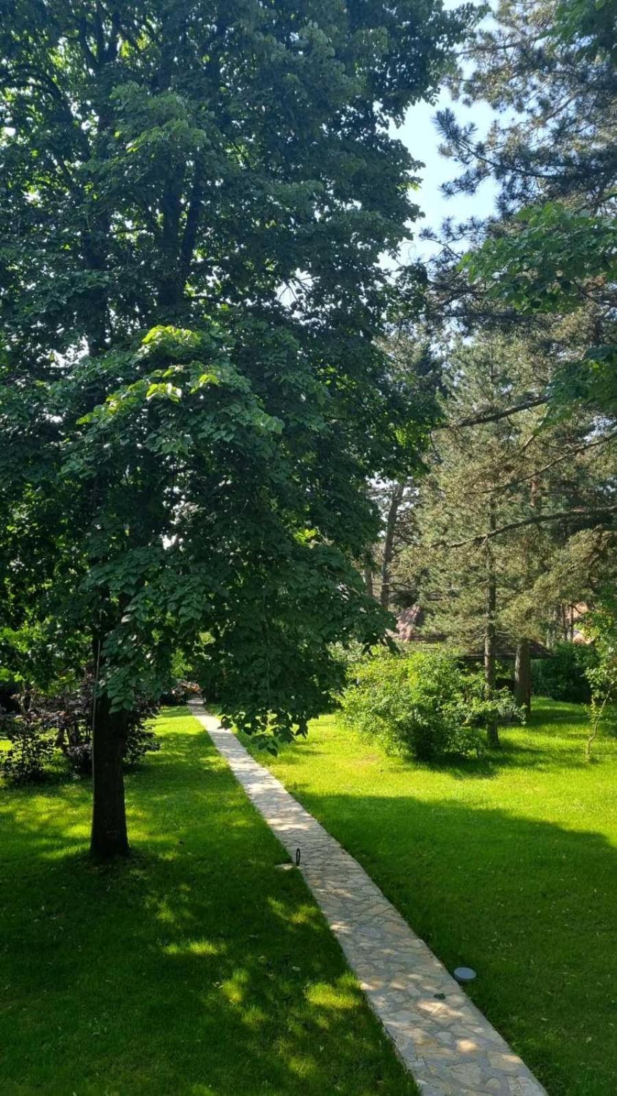 Vila Lucic Златибор Экстерьер фото